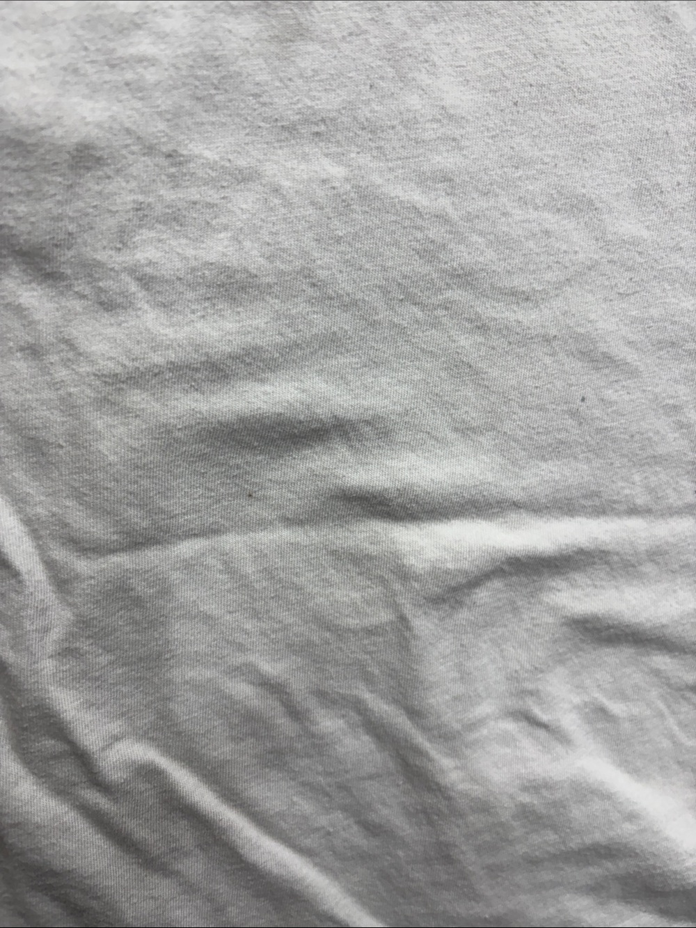 Polo by Ralph Lauren White Polo Bear on Short Sleeve Tee - Picture 11 of 12